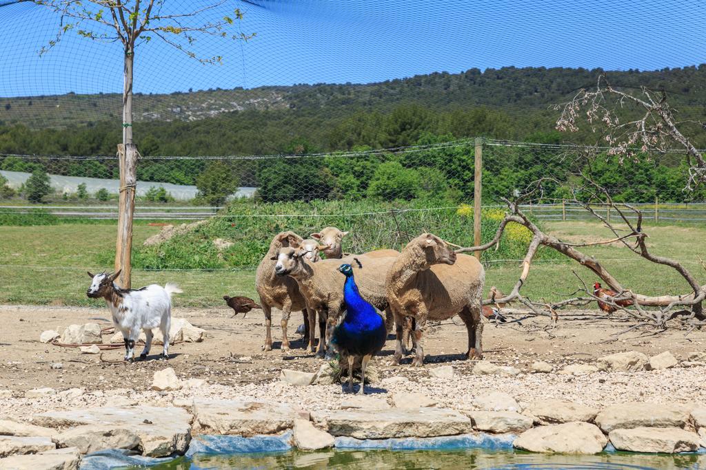 Lou Mas Li Pitchoun "Le Luberon " Villa Gordes Eksteriør billede